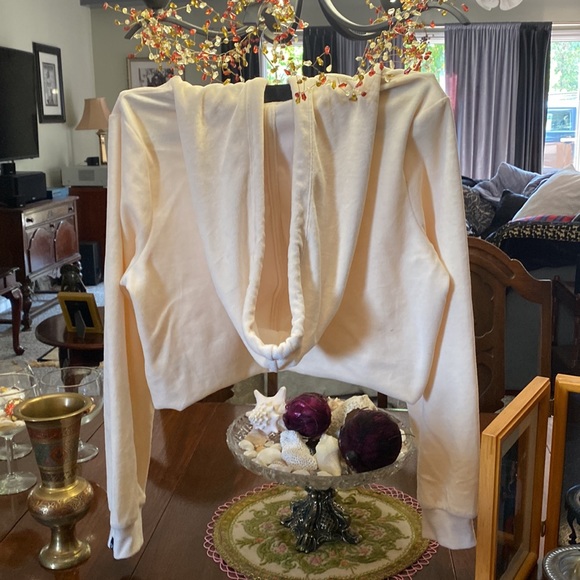 🍂🍁 BRAND NEW WITH TAGS 🏷 TRUE RELIGION PEARL VELOUR CROP TOP - Picture 2 of 5